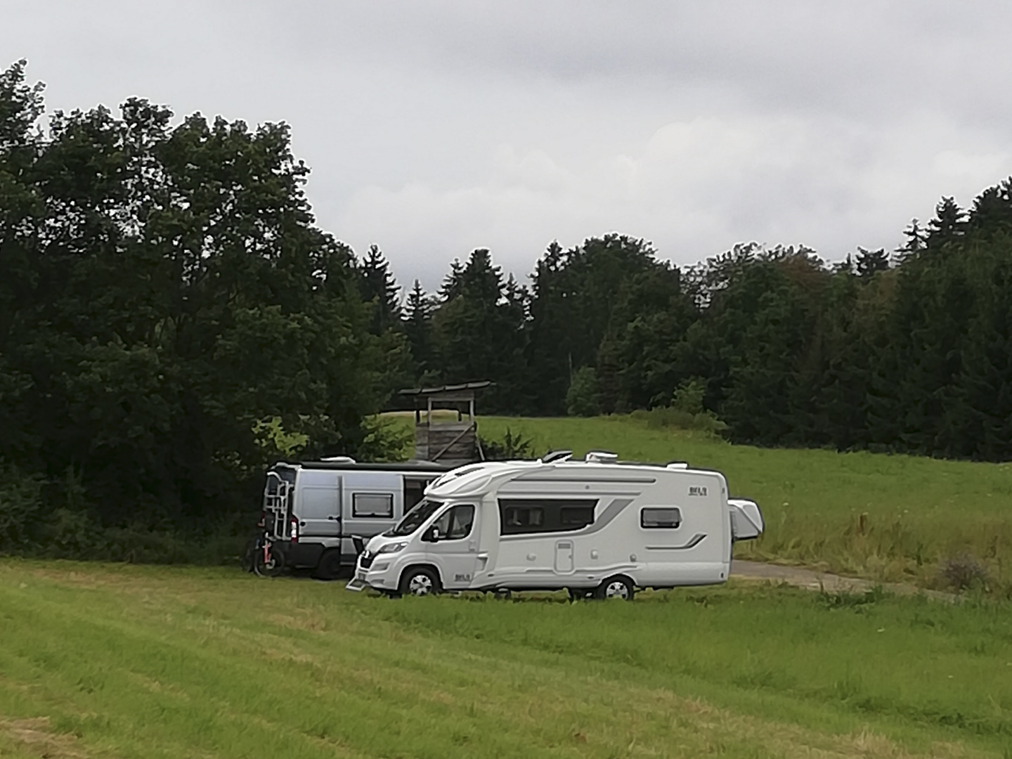 Grüne Wiese an einem Feldweg mit Camper mittig im Hintergrund. Dahinter ein hellgrauer Van sowie ein Jägerstand und sehr viele Bäume.
