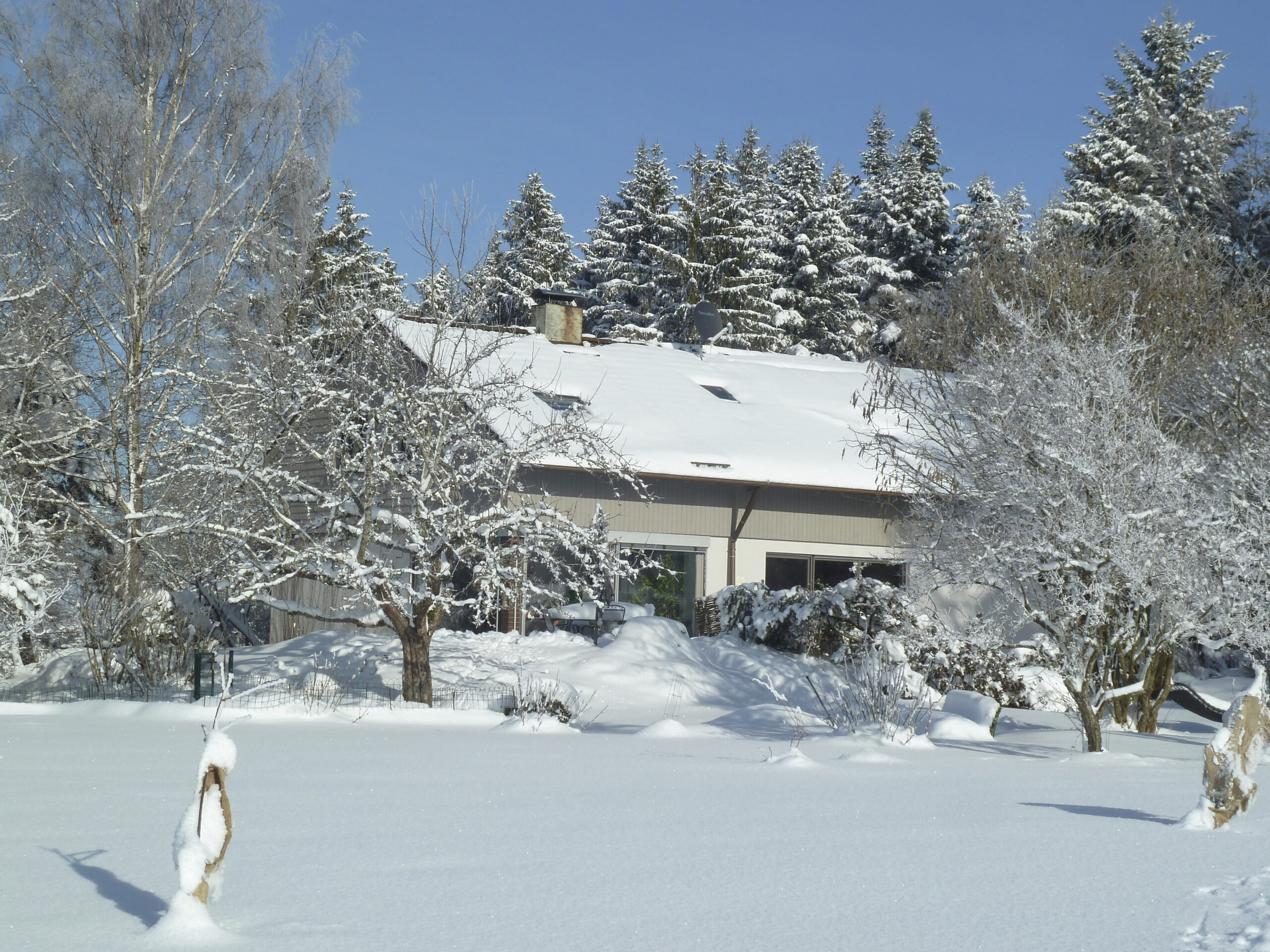 Schneebedecktes Waldhaus Umgeben von zugeschneiten Bäumen und einer Schneefläche davor