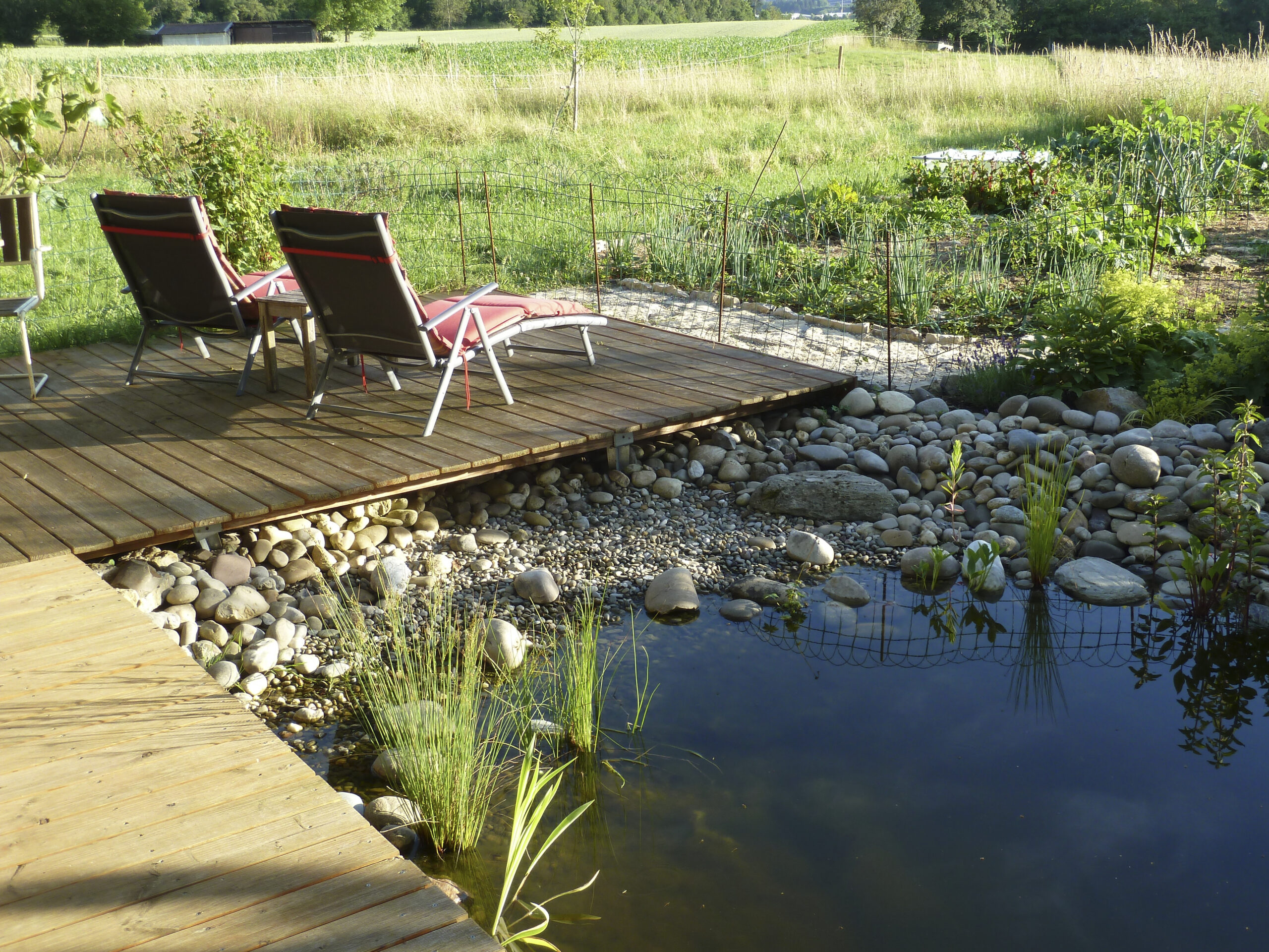 Liegestühle auf Holzplattform neben Teich und Wiesen- und Beetbereichen dahinter