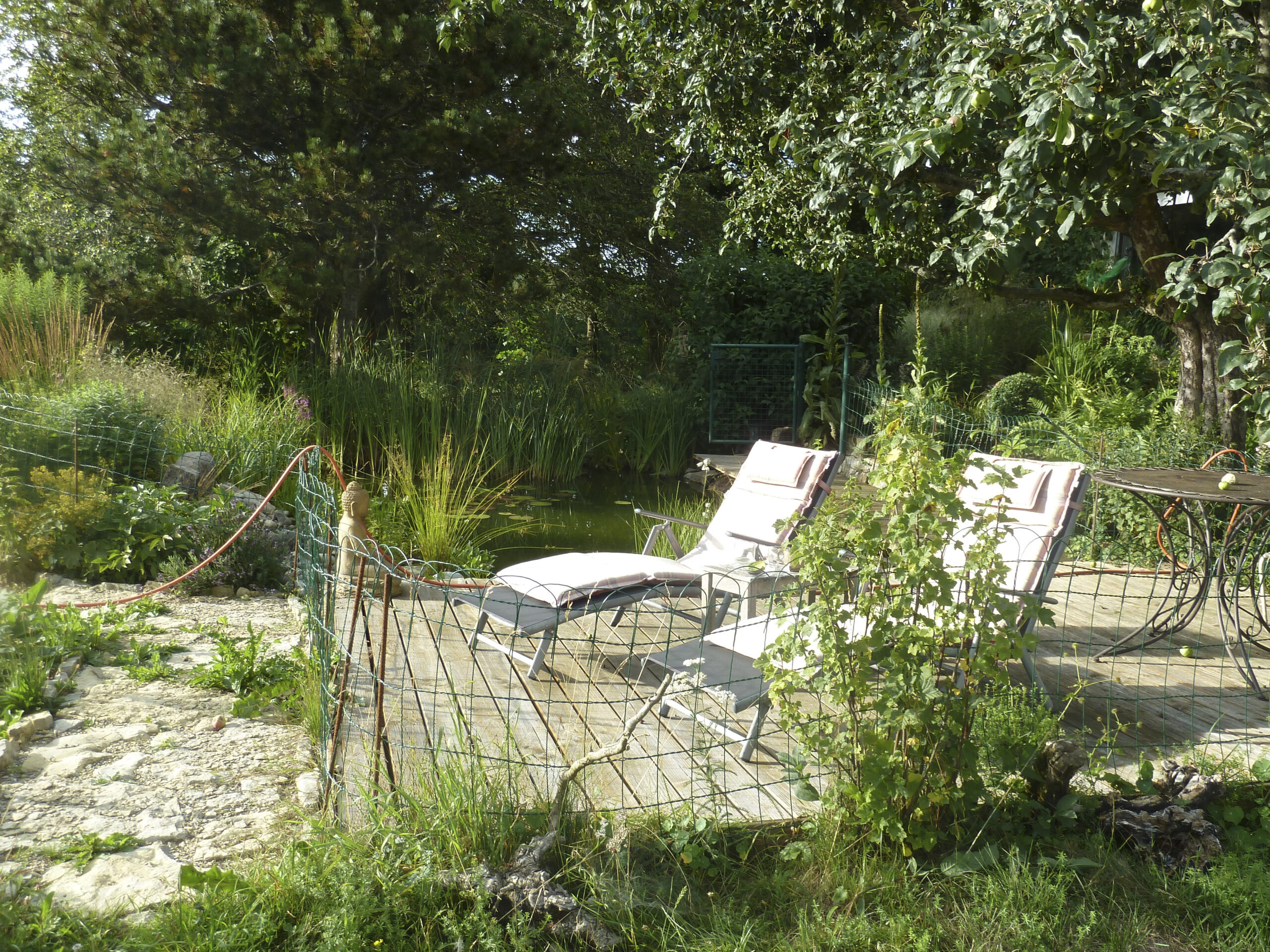 Liegestühle auf Holzplattform neben Teich und Wald- und Heckenbereich dahinter
