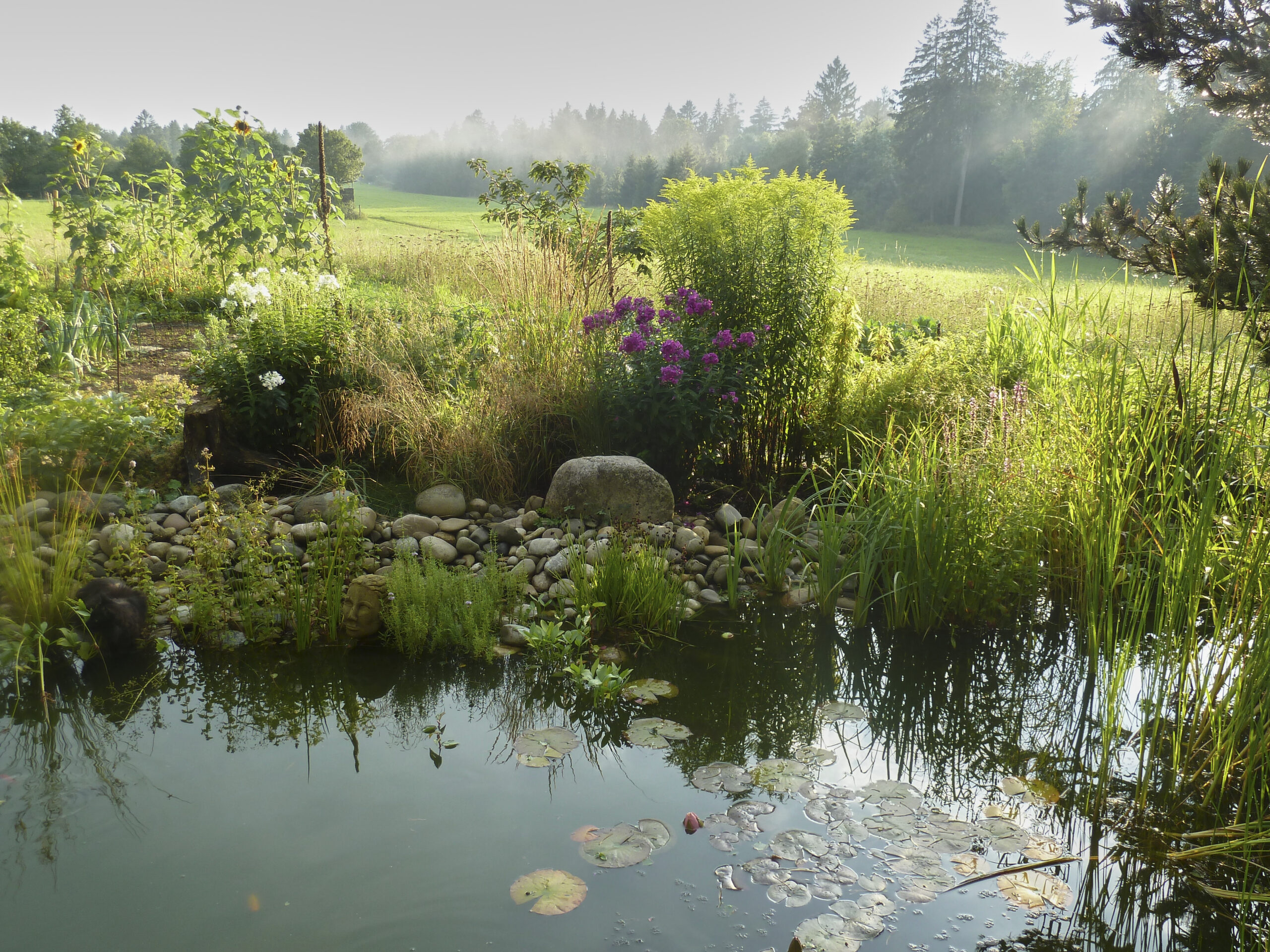 Teich mit Blumen und Hecken drumherum, dahinter eine große Wies und Wald im Hintergrund
